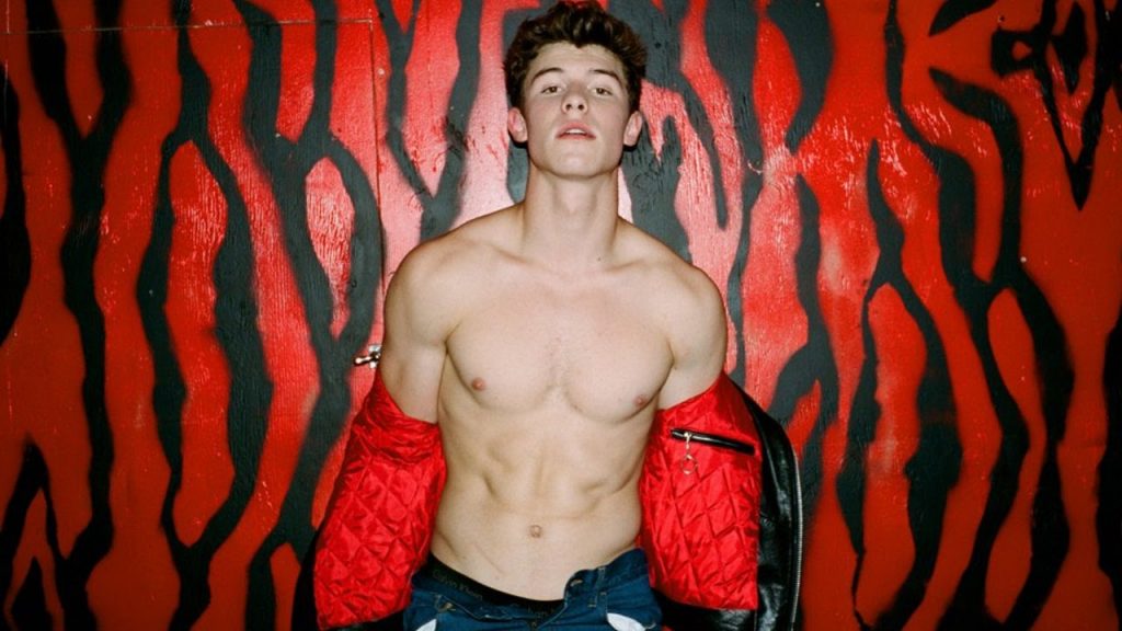 Shawn Mendes shirtless.