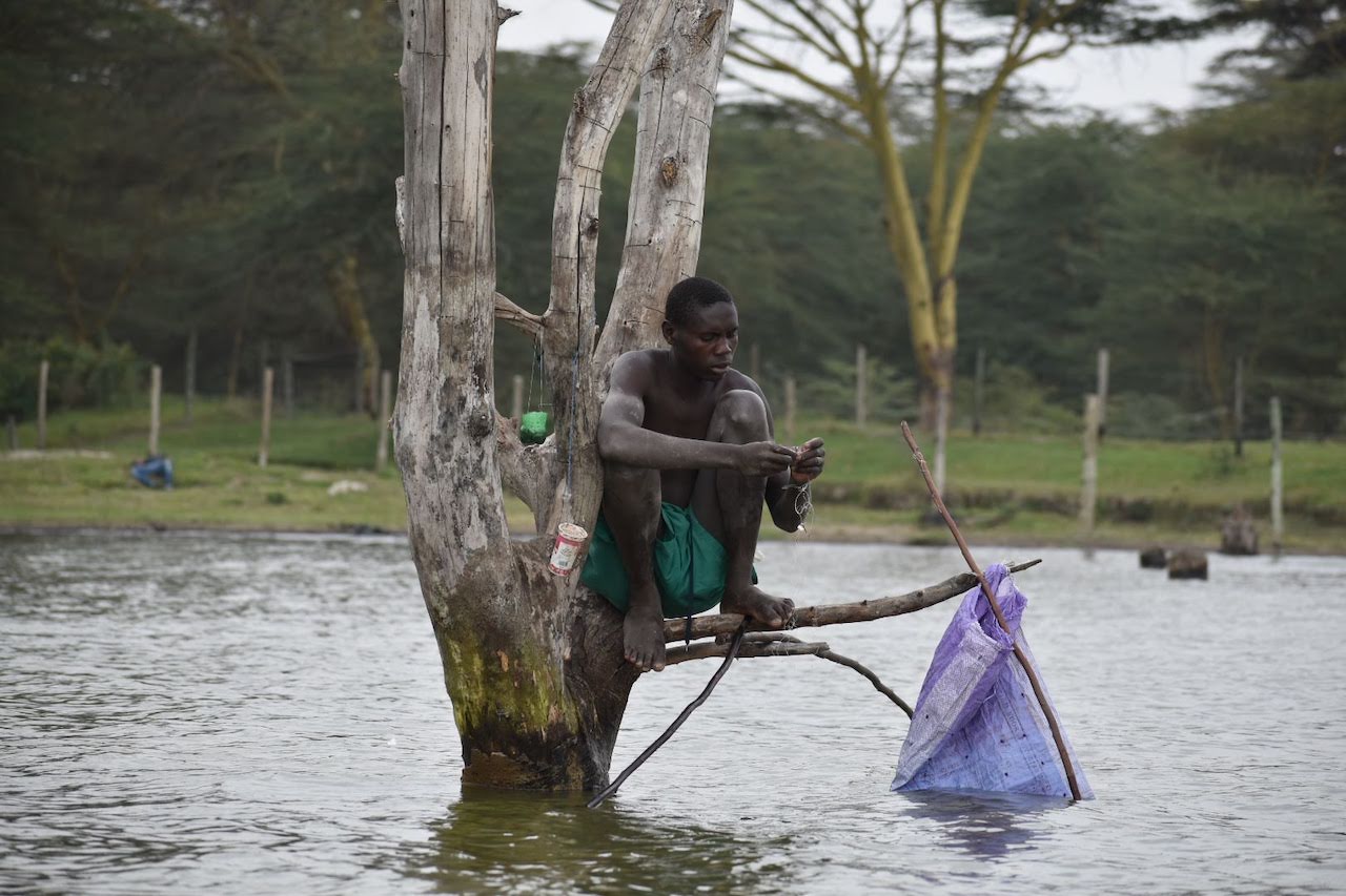 A local Kenyan is seen fishing from the branch of a submerged tree in Lake Nakuru.